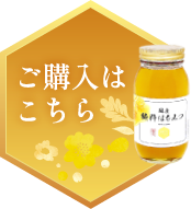 ご購入はこちら